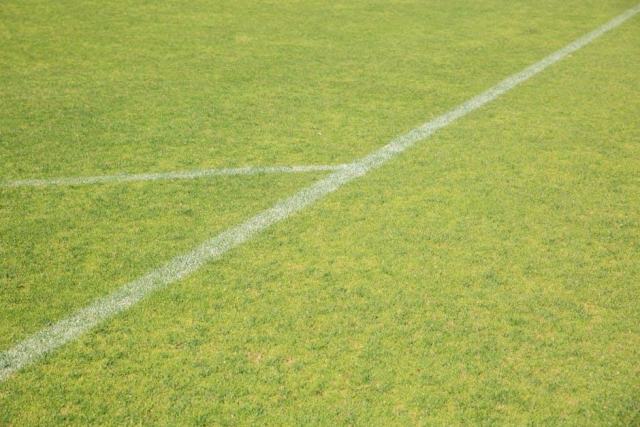 Jeux de sport en ligne : vivez la compétition sportive dans votre navigateur