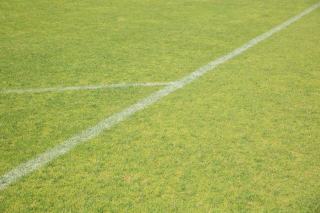 Jeux de sport en ligne gratuits : foot, tennis et basket